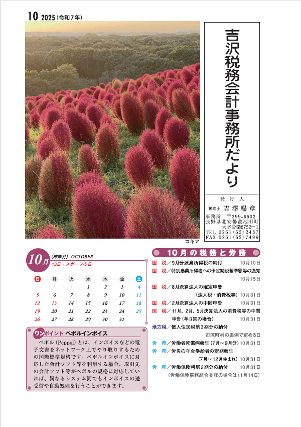 吉沢税務会計事務所だより最新号